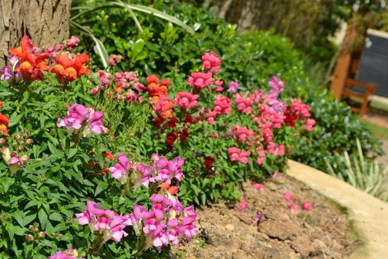 Locar-In Gramado Flores Da Montanha Centro Eksteriør bilde